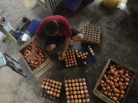 Harga Telur Hingga Minyak Goreng di Jakarta Stabil per Hari ini, Harga Cabai Masih Tinggi