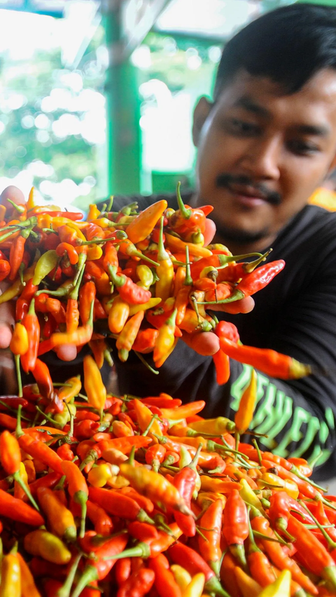 FOTO: Harga Cabai Rawit Merah Masih Tinggi Tembus Rp85 Ribu di Pasar Tradisional Jakarta<br>