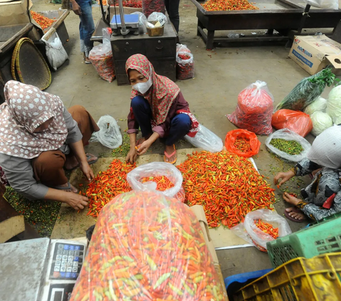 Pedagang memilah jenis cabai merah dan cabai rawit saat diperdagangkan di tengah harganya yang masih tinggi di Pasar Induk Keramat Jati, Jakarta, Kamis (30/11/2023).