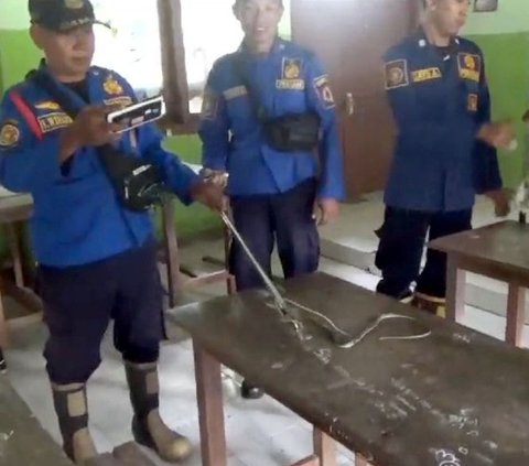 Gedung SD di Jember Jadi Sarang Ular, Siswa Ketakutan hingga Dipindah ke Halaman