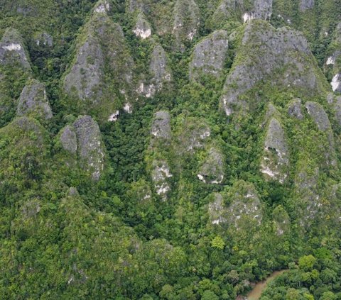 Situs Goa Tapak Tangan, Jejak Manusia Purba di Kabupaten Kutai Timur