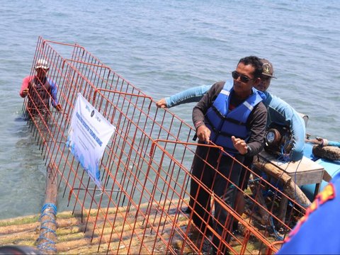 Unibraw & Pelni Kerja Sama Konservasi Terumbu Karang di Bangsring Underwater Banyuwangi