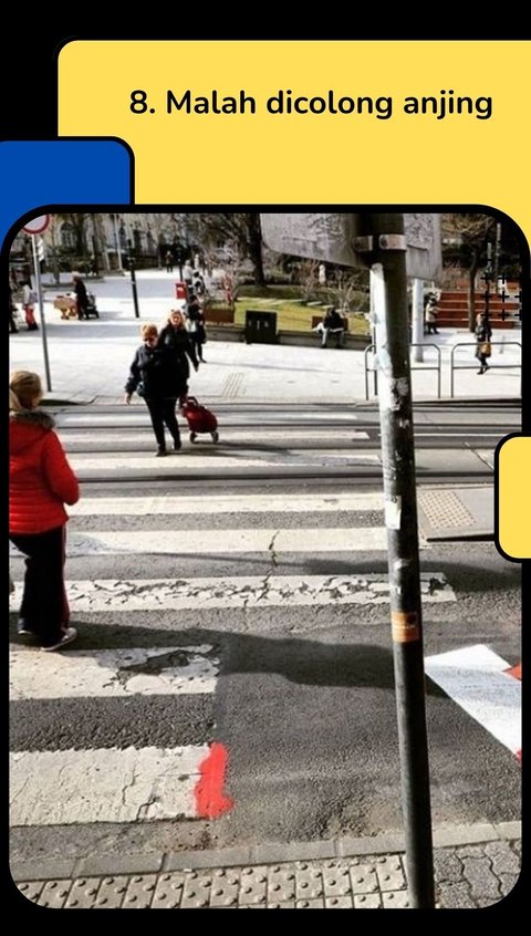 10 Potret Desain Zebra Cross Terunik di Dunia, Bikin Pengguna Jalan Cuma Bisa Melongo