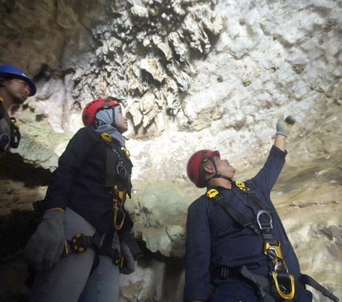 Begini Awal Mula Penetapan Taman Kehati Semen Tonasa dan Geopark Bulu Sipong Jadi Kawasan Konservasi