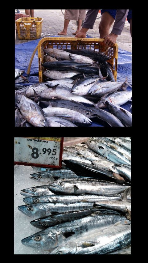 7 Ikan Murah Meriah yang Lebih Kaya Omega-3 daripada Salmon