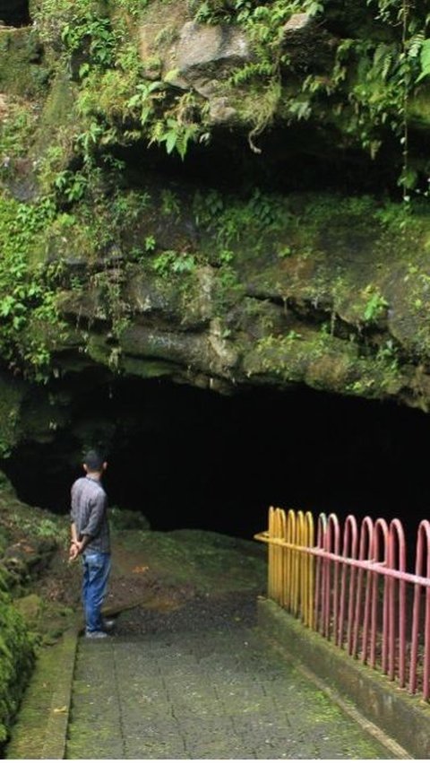 Goa Lawa memiliki panjang dari ujung ke ujung sejauh 1.200 meter. Semua bagian goa terbentuk dari lava gunung yang membeku.