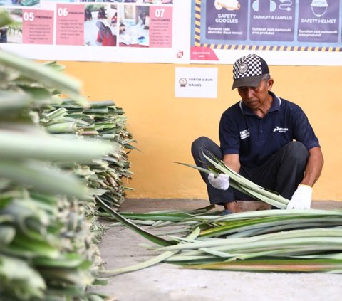 Tak Lagi Sebabkan Penyakit, Limbah Nanas Kini Bisa Diubah Jadi Kain dan Produk Eco-Fashion