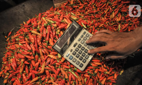 Harga Cabai Rawit Tembus Rp100.000 per Kg, Mendag: Enggak Apa-Apa, Mahal Sekali-Sekali