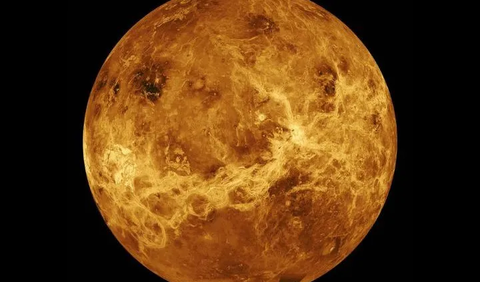 <b>Venus</b><br>