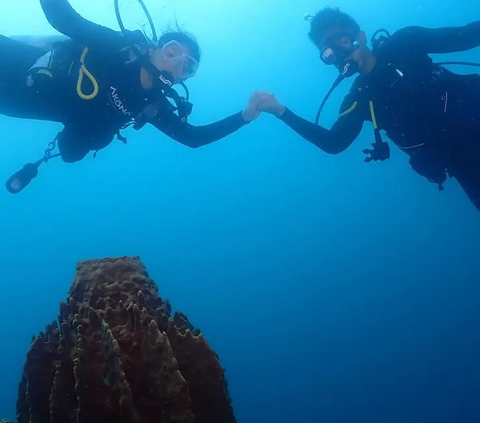 Deretan Foto Kaesang dan Erina Gudono saat Diving di Situbondo, Netizen 'Emang Boleh Seromantis ini'