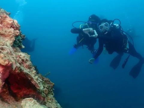 Deretan Foto Kaesang dan Erina Gudono saat Diving di Situbondo, Netizen 'Emang Boleh Seromantis ini'