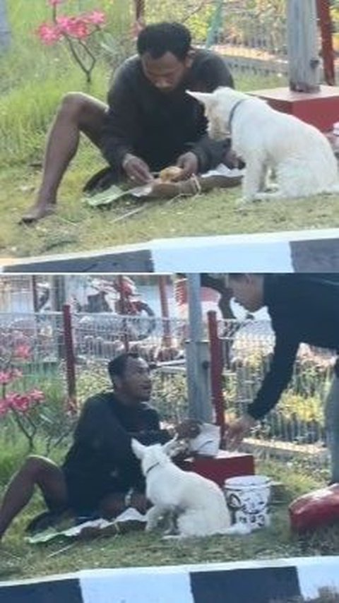 <b>Pria Ini Makan Nasi Satu Bungkus Berdua dengan Anjing Tanpa Rasa Risi, Kisah di Baliknya Bikin Haru</b>