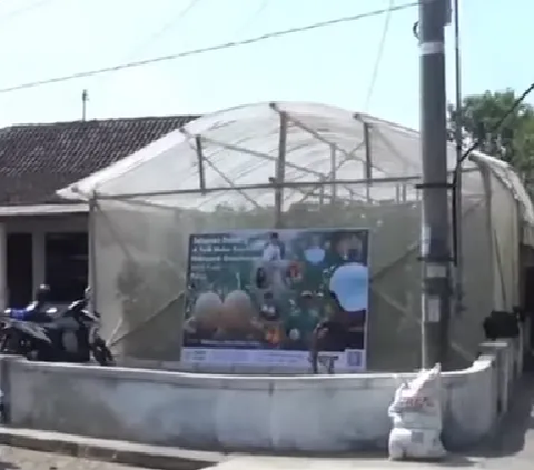 Orang Tua Bolak-balik Rugi Gagal Panen Melon, Pemuda Ini Coba Tanam di Lahan Sempit Depan Rumah, Tak Disangka Cuannya Berlipat Ganda