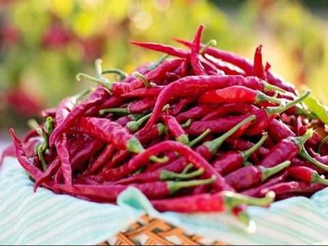 Kandungan Cayenne Pepper