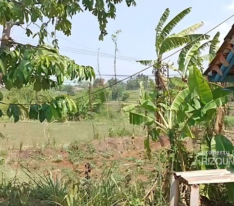 Appearance of Former Vice President Umar Wirahadikusumah's Childhood Home and Relatives in Sumedang: Simple Living, Far from Luxury