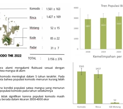 Populasi Komodo di Taman Nasional Komodo Capai 3.156 ekor, Sempat Menurun 100 Tahun 2022