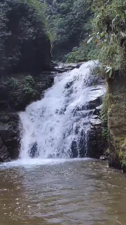 Menikmati Keindahan Curug Muara Jaya yang Estetik di Majalengka, Lokasinya Syahdu di Tengah Hutan