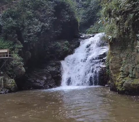 Menikmati Keindahan Curug Muara Jaya yang Estetik di Majalengka, Lokasinya Syahdu di Tengah Hutan