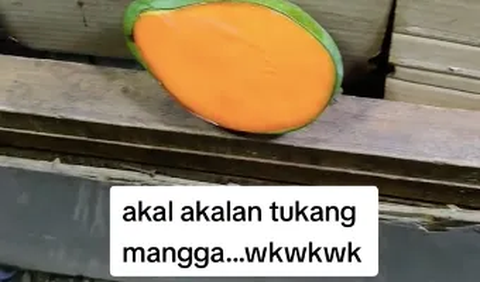 “Akal-akalan tukang mangga, wkwkwkw,” <br>