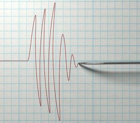 Kondisi Terkini Tanimbar Maluku Usai Diguncang Gempa Magnitudo 7,2