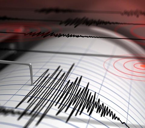 Kondisi Terkini Tanimbar Maluku Usai Diguncang Gempa Magnitudo 7,2