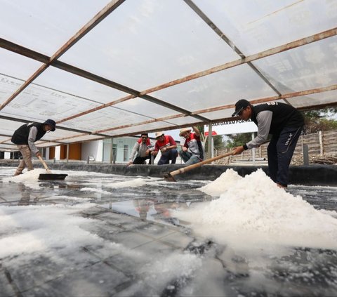 Kebutuhan Garam Nasional Terus Meningkat, Begini Teknologi Bisa Genjot Produksi Petani