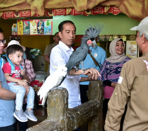 Bahas Gaza, Jokowi Bakal Hadiri KTT Luar Biasa OKI di Arab Saudi