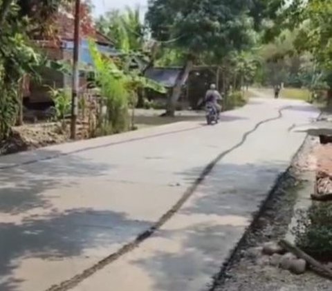 Viral Kakek-Kakek Naik Motor Lewati Jalan Cor yang Masih Basah, Bikin Heran Warganet