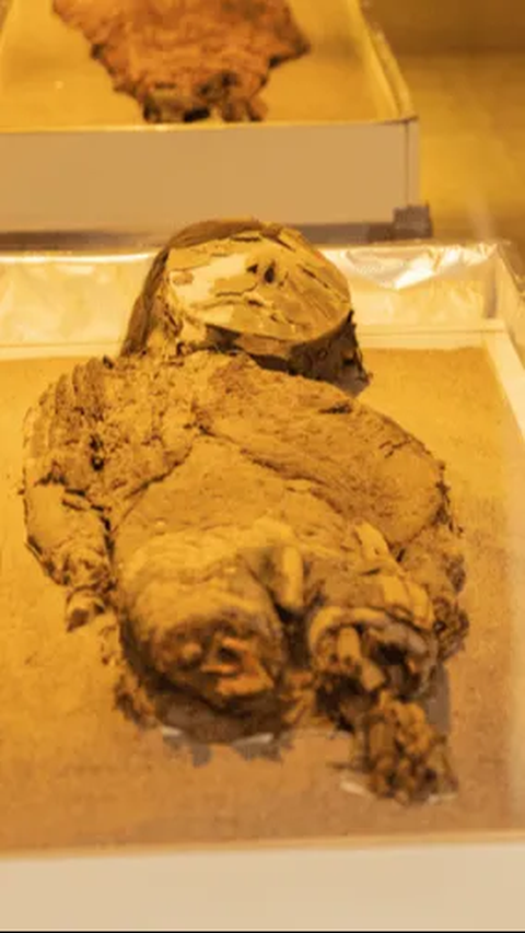 Mumi Tertua di Dunia Bukan Berasal dari Mesir, Bangsa Ini Pertama Kali Mengawetkan Mayat 9.000 Tahun Lalu