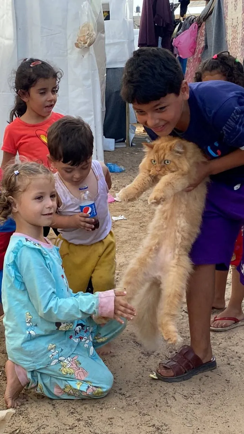 FOTO: Tiga Ekor Kucing Lucu Ini Bawa Kegembiraan Anak-Anak Palestina di Pengungsi Khan Younis Jalur Gaza