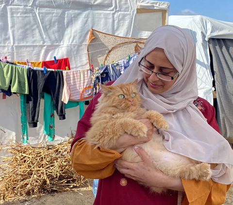 FOTO: Tiga Ekor Kucing Lucu Ini Bawa Kegembiraan Anak-Anak Palestina di Pengungsi Khan Younis Jalur Gaza