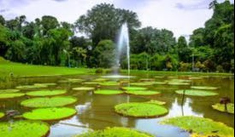 1. Bogor Botanical Gardens