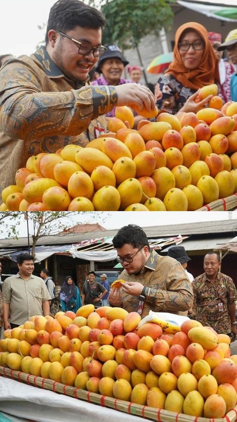 Mangga Ini Terkenal Masam tapi saat Ditanam di Kediri Rasanya Jadi Manis, Peminatnya Membeludak hingga Singapura