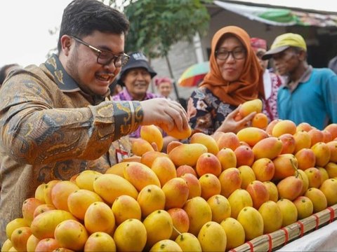 Mangga Ini Terkenal Masam tapi saat Ditanam di Kediri Rasanya Jadi Manis, Peminatnya Membeludak hingga Singapura