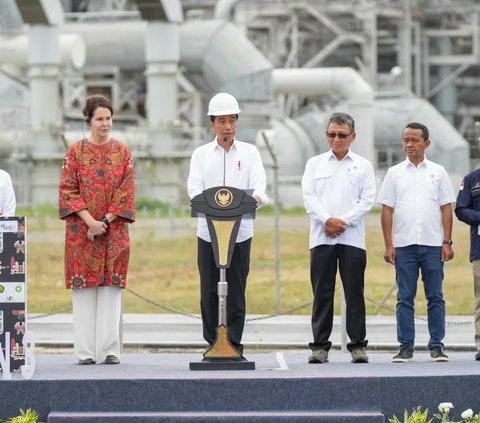 Demi Suplai Pabrik Pupuk di Papua, Presiden Jokowi Dukung 2 Proyek Migas jadi PSN
