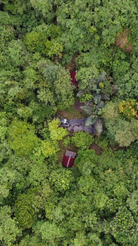 Dapat Dana Karbon, Kutai Timur Fokuskan ke Desa