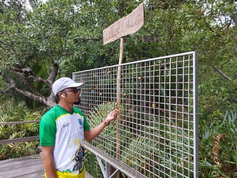 Ayo Bersantai di Wisata Mangrove Lati Tuo Paser