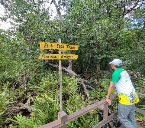 Ayo Bersantai di Wisata Mangrove Lati Tuo Paser