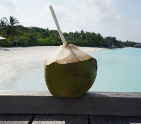 Is it Safe for Pregnant Women to Drink Coconut Water Routinely? Find Out the Facts