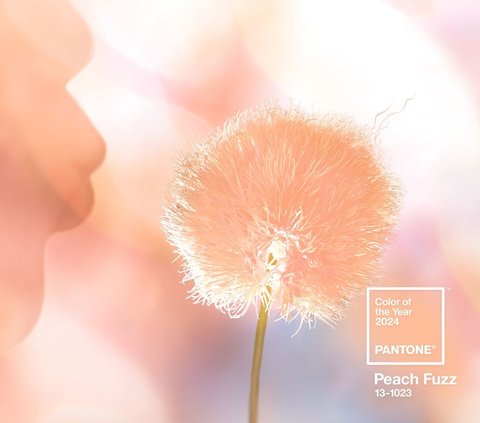 Peach Fuzz Becomes the Trending Color in 2024, Suitable for Both Men and Women