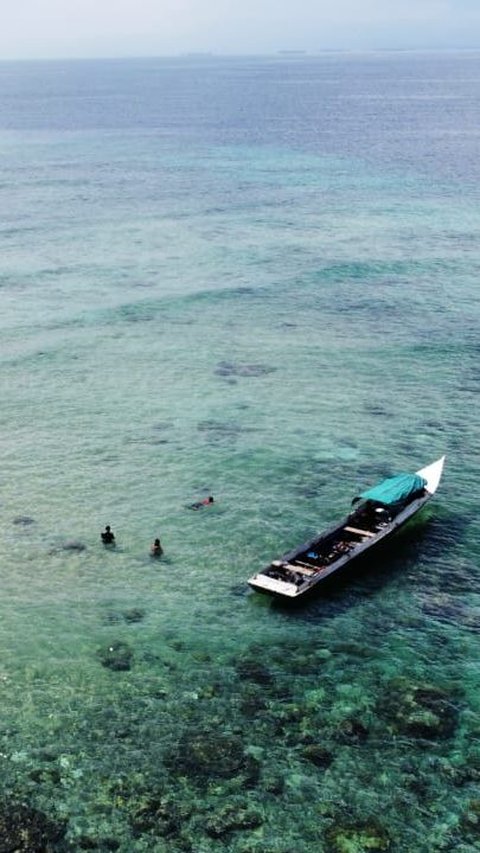 Wisata Laut Pulau Miang yang Mengagumkan, Spot Bawah Laut dan Mancing Terbaik