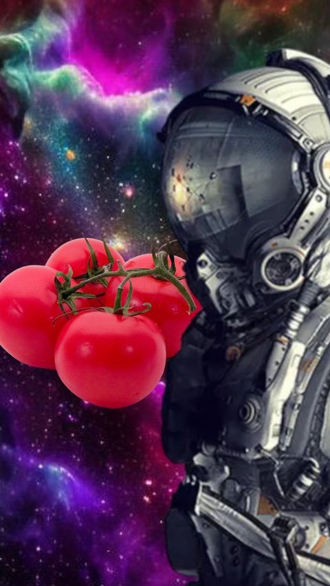 Tomat yang Dicari-cari selama 8 Bulan di Luar Angkasa Akhirnya Ketemu, Astronot Ini Sempat Dituduh Memakannya<br>
