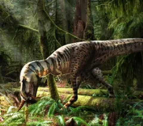 Ilmuan Temukan Makanan Terakhir di Dalam Perut Tyrannosaurus Berusia 75 Juta Tahun