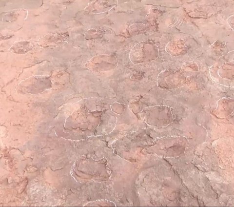 600 Dinosaur Tracks Found in This Village, Scientists Claim There Are Thousands More