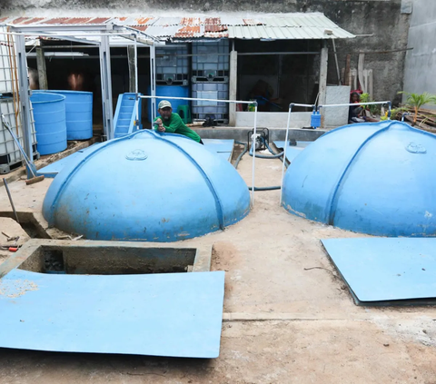 Pekerja mengatur konverter biogas yang mengubah kotoran sapi menjadi gas untuk kebutuhan tumah tangga di kawasan Pancoran, Jakarta, Selasa (12/12/2023). Proses pemanfaatan biogas itu sudah tersambung ke tujuh rumah warga di sekitar peternakan tersebut. Selain untuk memasak, limbah tersebut juga bisa digunakan sebagai pupuk kandang di sektor pertanian.