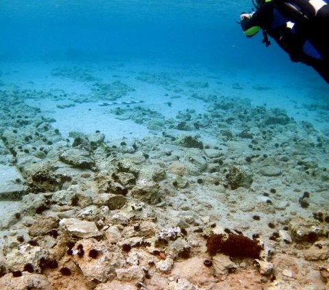 Exciting Discovery of a 5,000-Year-Old City Under the Sea, Roads and Burial Sites Intact!