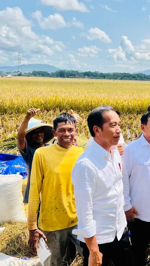 Janji Jokowi ke Petani: Subsidi Pupuk Akan Saya Tambah