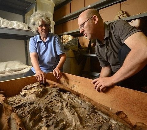 Penemuan Tengkorak Manusia Berusia 6.500 Tahun, Diduga Korban Banjir di Zaman Nabi Nuh