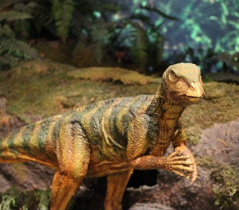 Latest Research, Dinosaurs Once Had Feathers on Their Bodies