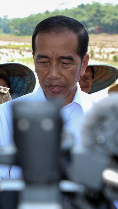 Jokowi Minta Aturan Kartu Tani Dibereskan, Kini Cukup Pakai KTP buat Dapat Pupuk Subsidi